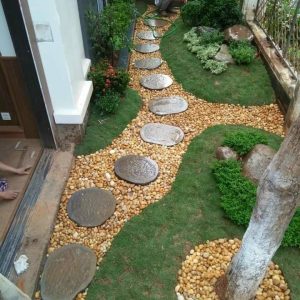 Bảng Giá Cỏ Nhật Mới Nhất 2025