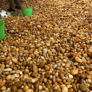 Các màu sỏi giúp sân vườn đẹp hơn